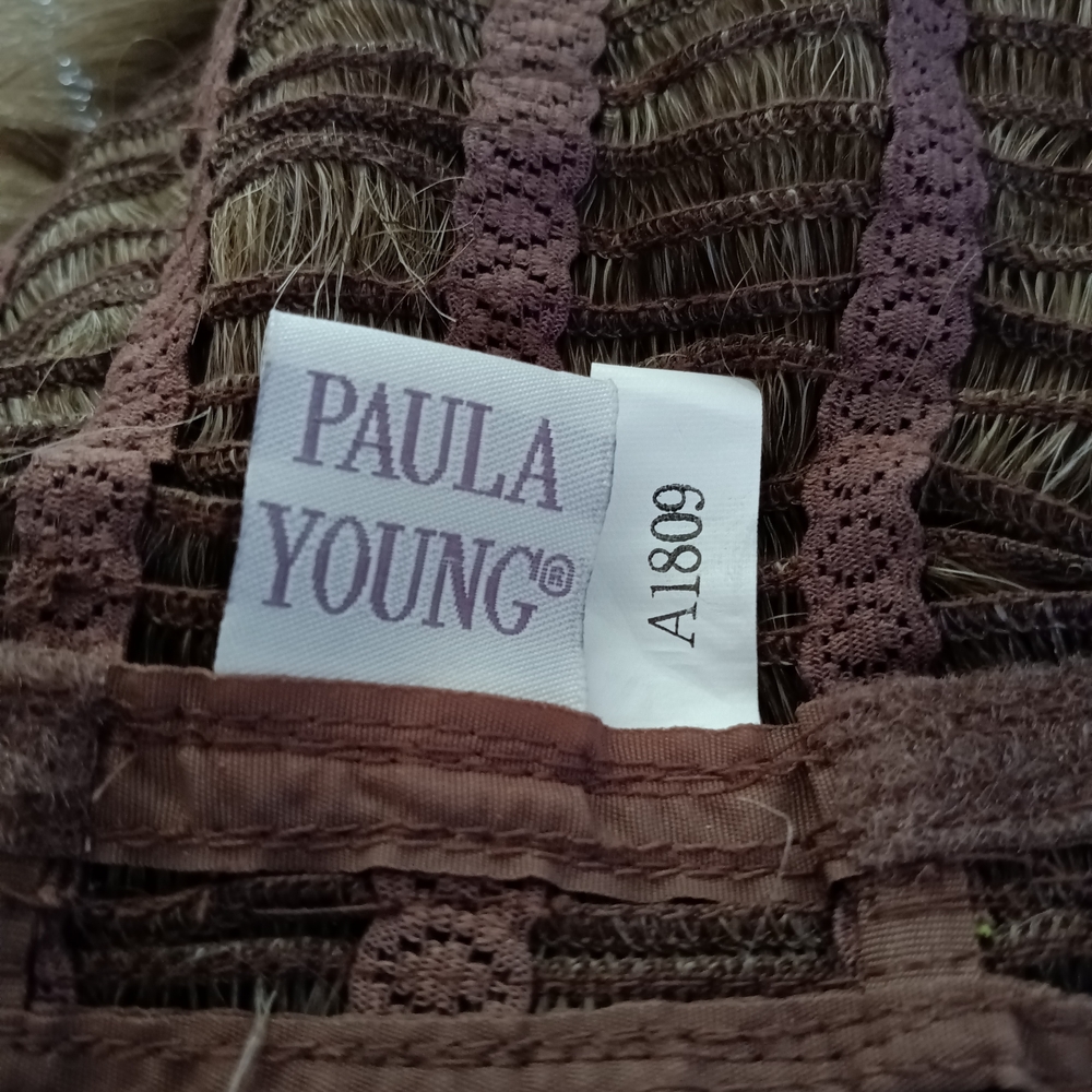 Paula Young Gilda In Ash Brown with 25 percent Grey. NWOT - Picture 5 of 6